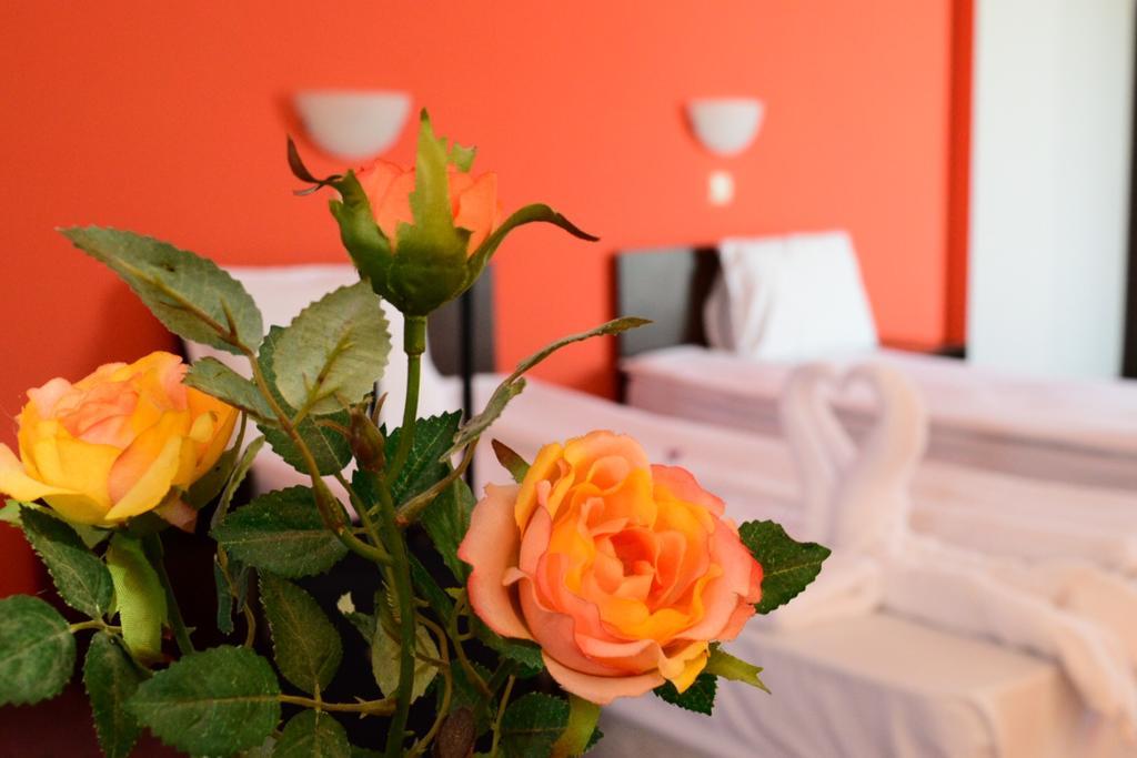 Hotel Alexander София Экстерьер фото